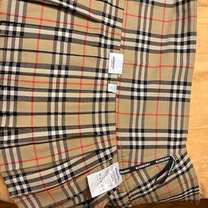 burberry skirt